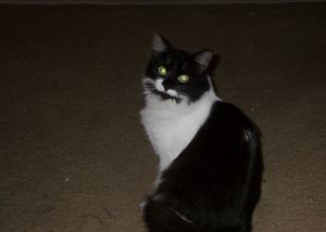  photo 05d1d159-27b3-45c7-b9e7-655763a64a37_zps9be4183c.jpg