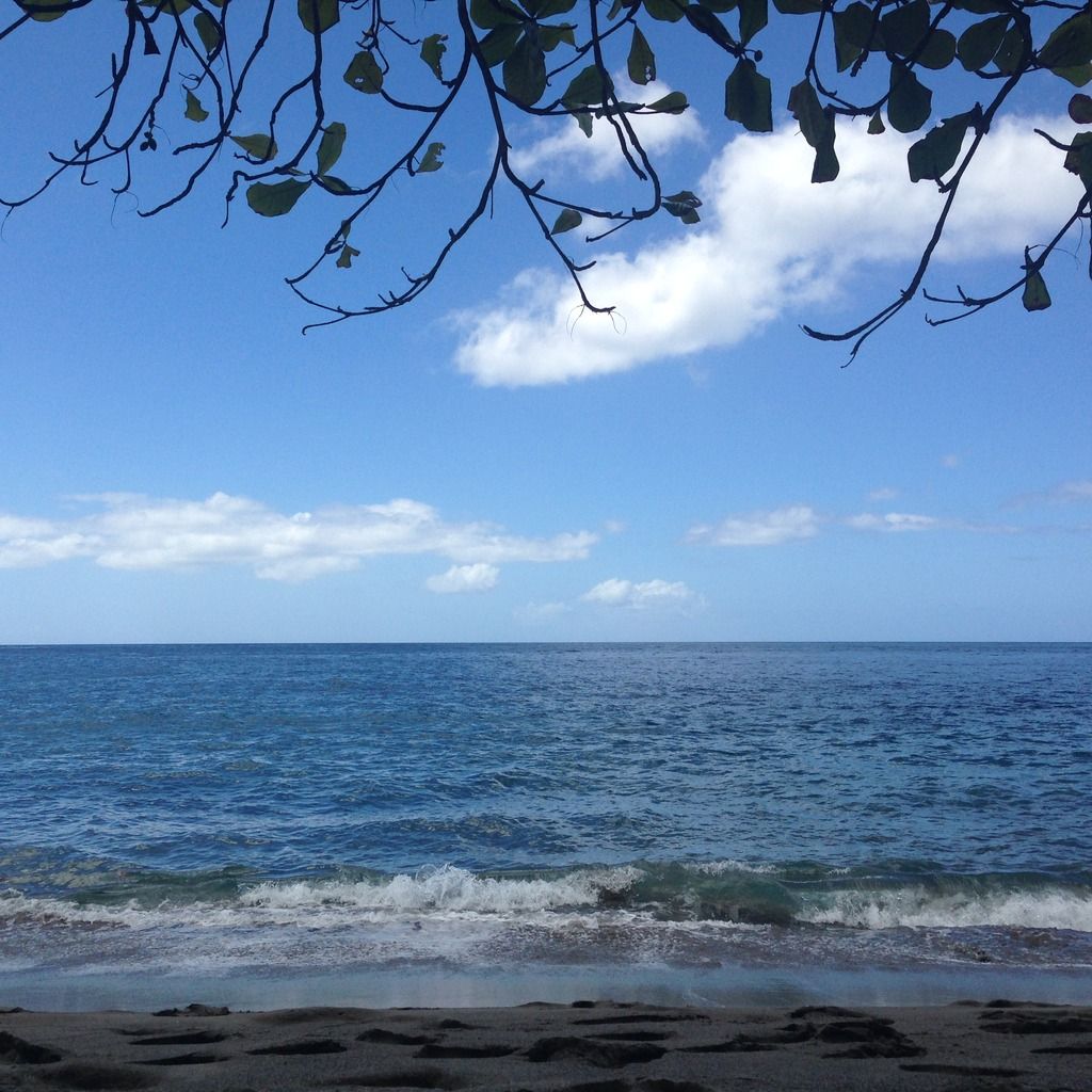 Восемь дней на Ст Люша ( St Lucia), краткий обзор с картинками