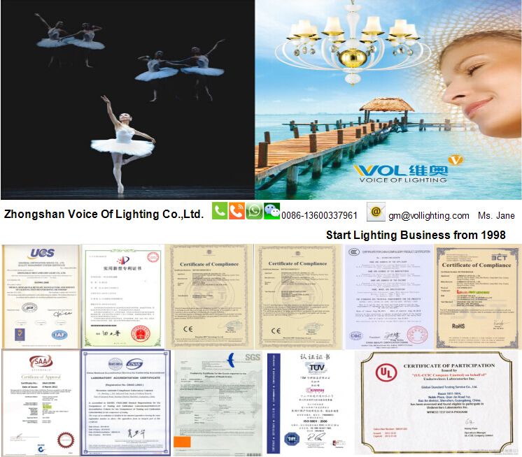 Modern Cheap Plastic Chandelier Lighting Ceiling Fixture pendant lamp