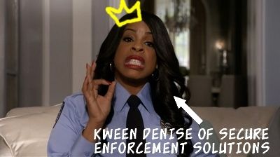 Denise Hemphill of Security Enforcement Solutions is frigging HILARIOUS.