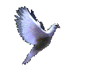  photo 2vcc4dt_zps245b2e49.gif