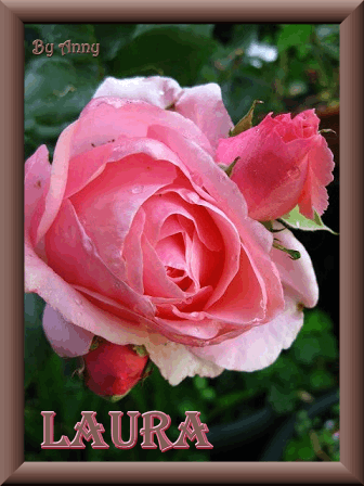 LAURA photo llaura1_zps48afc6fb.gif