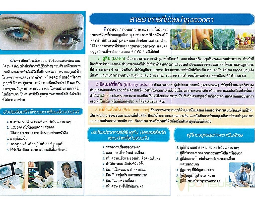 30 Capsules Mega We Care iiCare Eye Sight Naurishing, Macular Regeneration Bilberry Extract From Italy