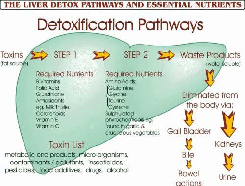 New !! Preaw Detoxification Chlorophyll 25,000 Microgram Dietary Supplement For Detox Healthy Natural