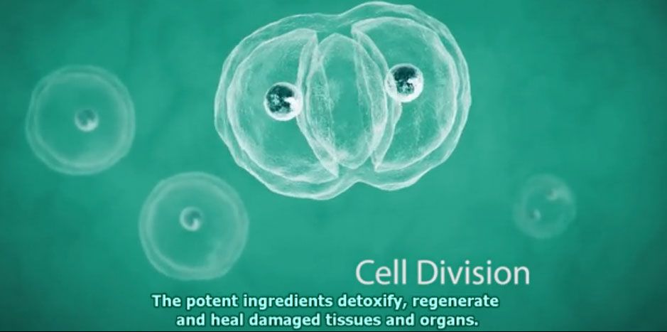 MF III of Switzerland - MF 3 VP Softgels Advanced Formula Vegetal Placenta Cell Nano Technology Rejuvenile