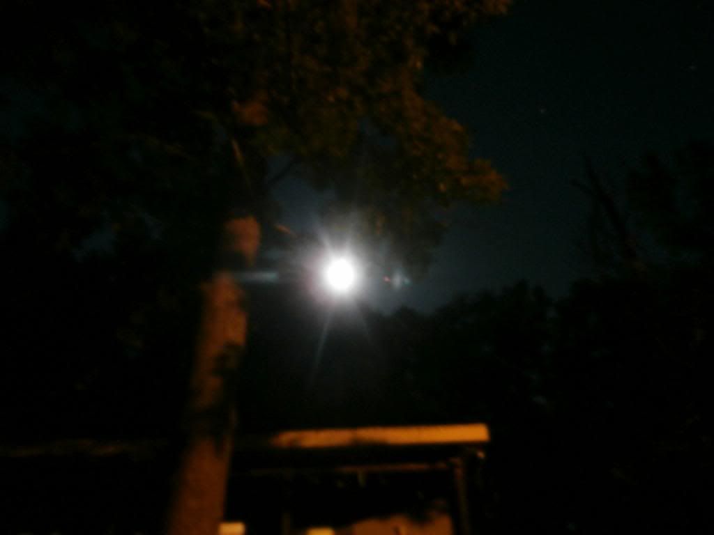  photo P5240182_zpsdfc40040.jpg