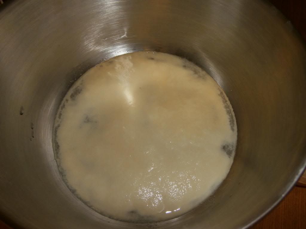  photo P5290501_zps89d38f2e.jpg