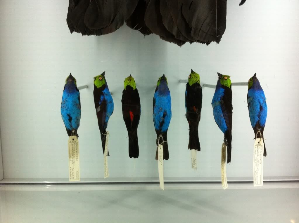 Paging Secret Agent Edwin Rist Drake Magazine Online