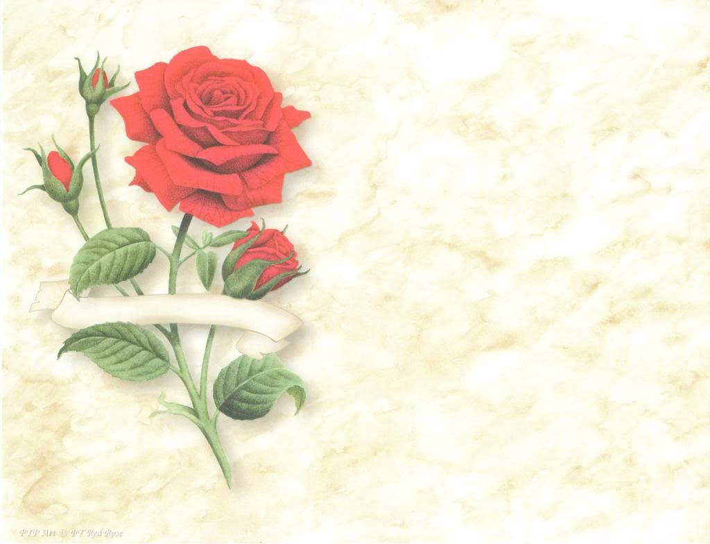 red rose photo: red rose RedRosePTP_zps9c28b11e.jpg