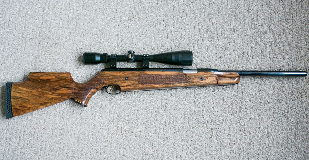 Best oil for walnut stock