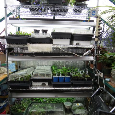  photo IMG_0487_zpsde580e1e.jpg