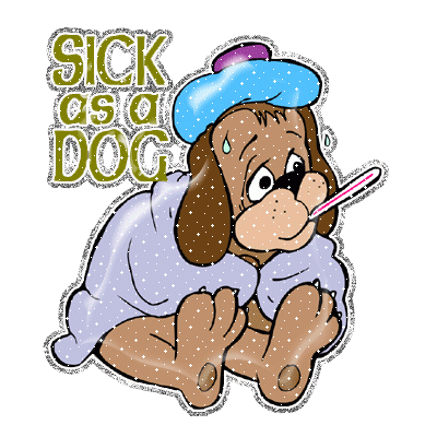 do dogs get sick paul web logs do dogs get allergies yes do dogs get sick paul web logs do dogs get allergies yes