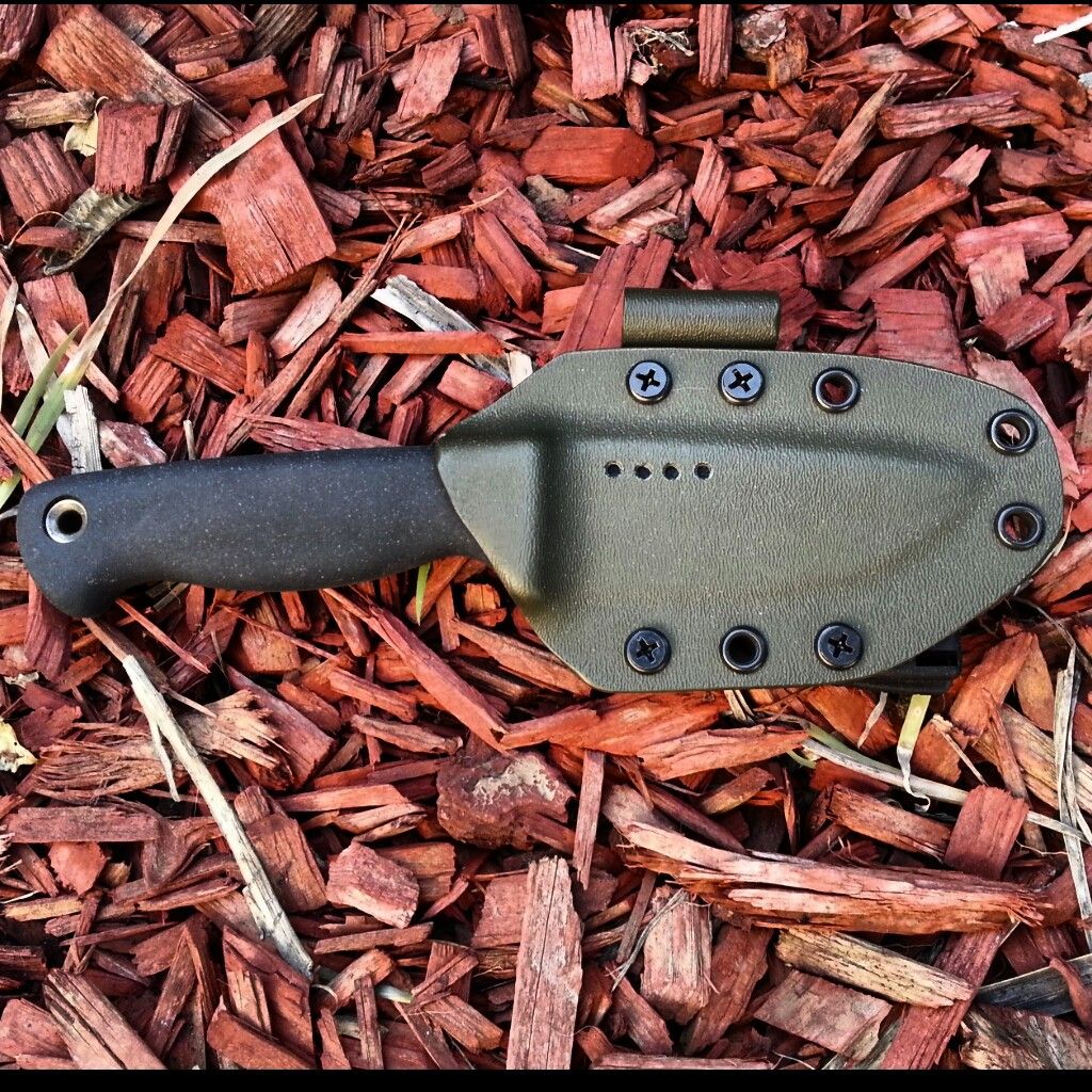 [Linked Image from i1282.photobucket.com]