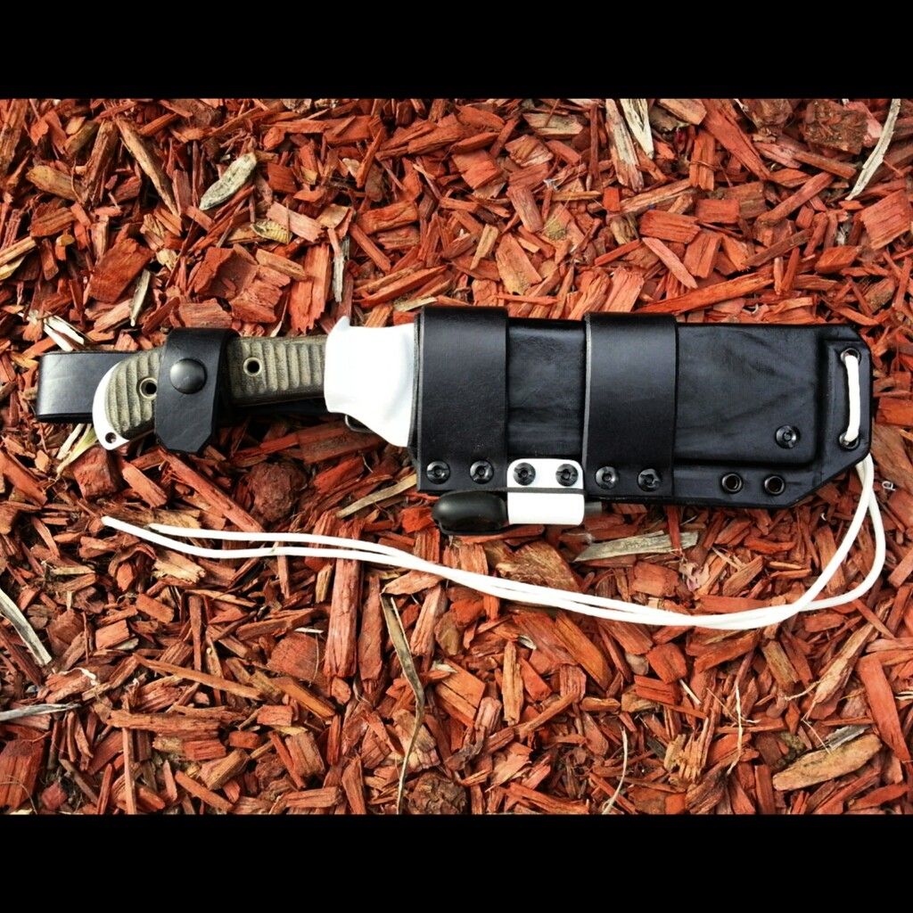 [Linked Image from i1282.photobucket.com]
