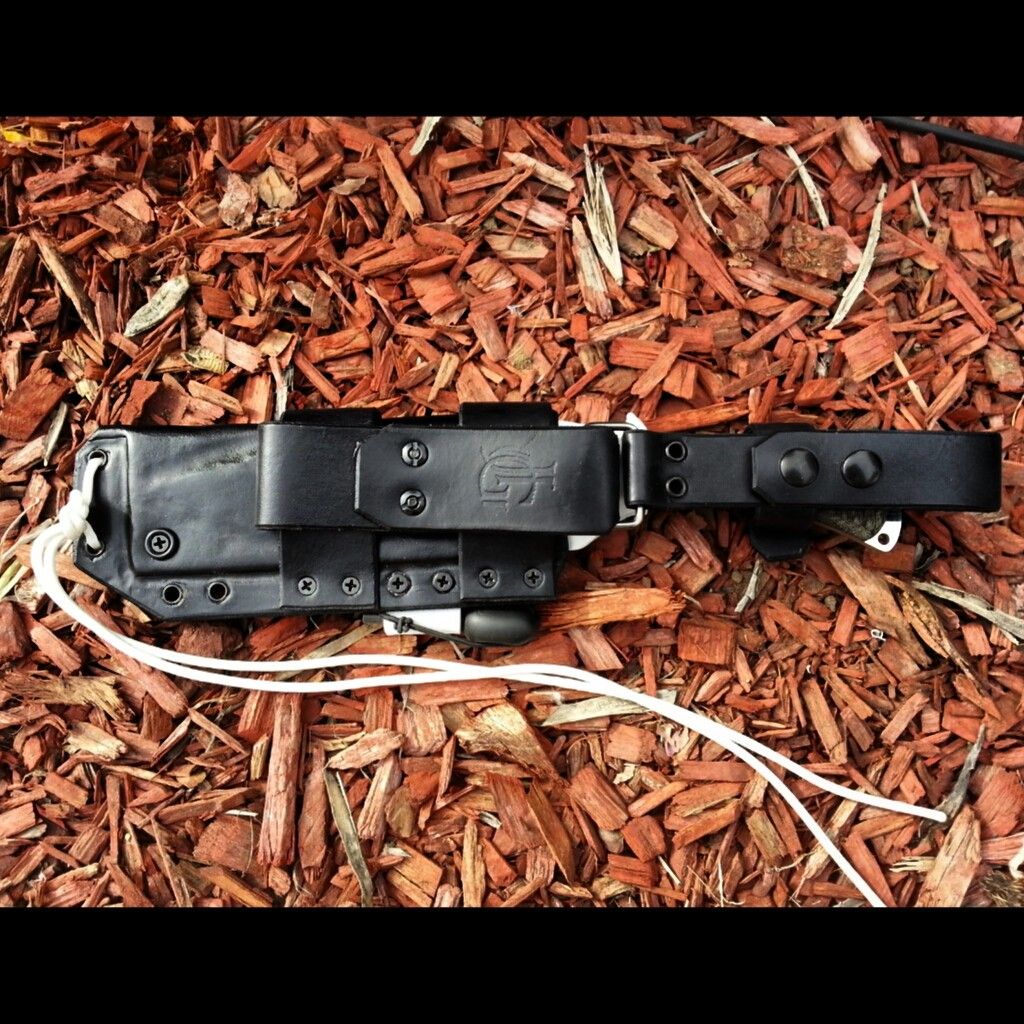 [Linked Image from i1282.photobucket.com]