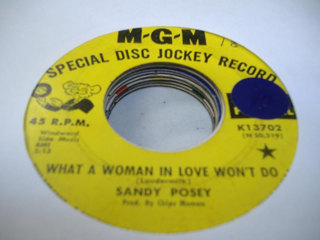 SANDY POSEY - What A Woman In Love Won't Do (shattered)