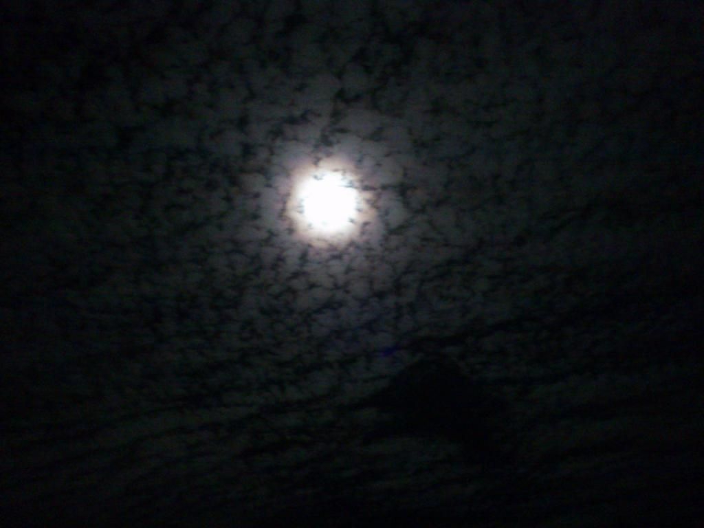 DSC_1849_zpsc5571f6b.jpg