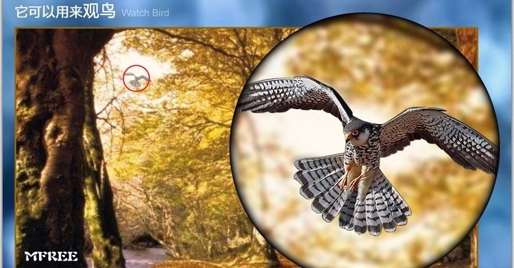  photo camera8x2_zps45u7uysc.jpg