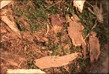 ll9no7m_zps6bb4b240.gif