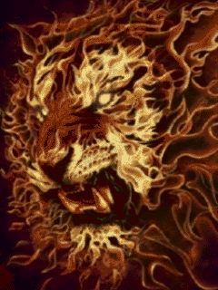 photo animated_lion_made_of_fire_zpsb5402069.gif