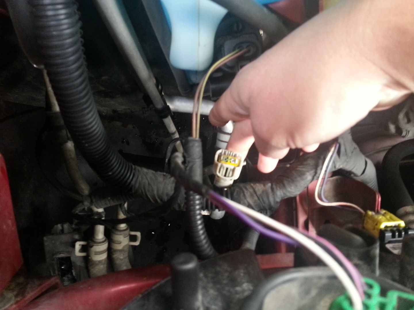 If you located the 2504 bulb socket then you are ready to proceed to the next step. If not you may need to wire up fogs through an aftermarket light harness ...